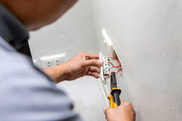 Best Electrical System Inspection  in Oquawka, IL